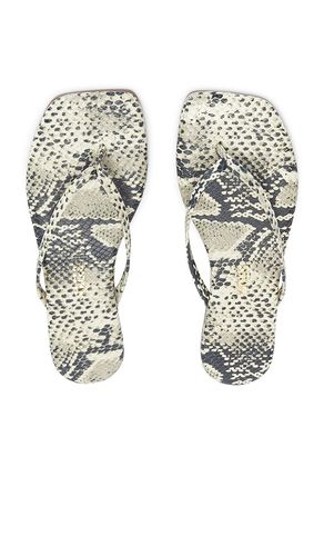 SANDALES SQUARE TOE LILY en . Taille 7. Also en 9 - TKEES - Modalova