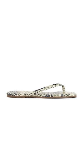 SANDALES SQUARE TOE LILY en . Taille 7. Also en 9 - TKEES - Modalova