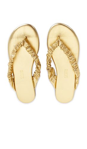 SANDALES SAVANNA en . Taille 5. Also en 6, 7, 8, 9 - TKEES - Modalova