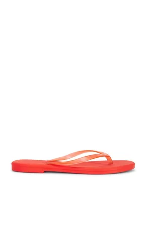 SANDALES AQUA en . Taille 10. Also en 11, 5, 6, 7, 8, 9 - TKEES - Modalova