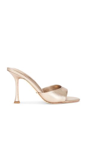 MULES LUNAR en . Taille 6.5. Also en - Tony Bianco - Modalova