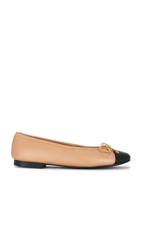 PLAT CAPPA en . Taille 10. Also en 8 - Tony Bianco - Modalova
