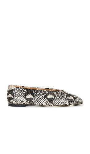PLAT BASH BALLET en . Taille 8.5. Also en - Tony Bianco - Modalova