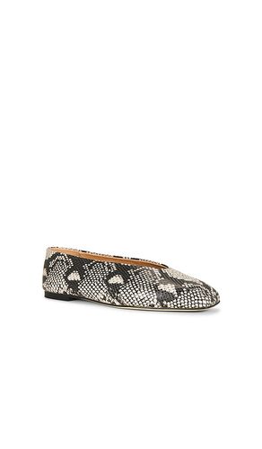 PLAT BASH BALLET en . Taille 7. Also en 8 - Tony Bianco - Modalova