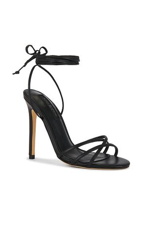 SANDALES AVEC LANIÈRES KAZ en . Taille 6. Also en 6.5, 7, 9 - Tony Bianco - Modalova