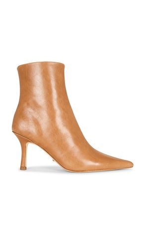 BOTTINES SWEETIE en . Taille 6. Also en 6.5, 7.5 - Tony Bianco - Modalova