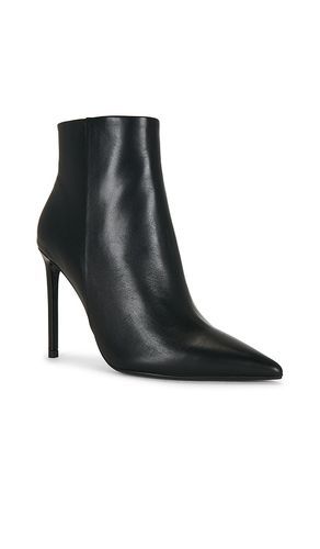 BOTTINES AMAR en . Taille 10. Also en 5.5, 6, 6.5, 7, 7.5, 8, 8.5, 9, 9.5 - Tony Bianco - Modalova