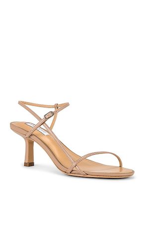 SANDALES CAPRICE en . Taille 10. Also en 11, 5, 5.5, 6, 7, 9.5 - Tony Bianco - Modalova