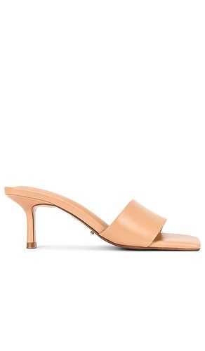 MULES AALIYAH in . Size 6.5, 7, 7.5, 8, 9.5, 5.5 - Tony Bianco - Modalova