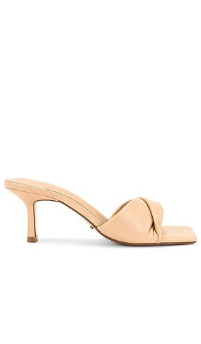 SANDALES ALEXA in . Size 5, 5.5, 6.5, 7, 7.5, 8, 8.5, 9, 10 - Tony Bianco - Modalova