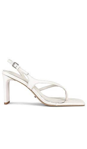 SANDALES CURTIS in . Size 6.5, 7, 8, 8.5, 9, 10 - Tony Bianco - Modalova