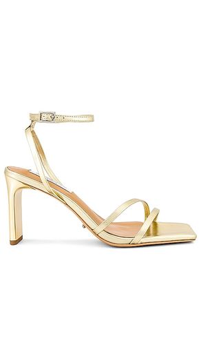 ESCARPINS CORSO en . Taille 5.5. Also en 6, 7 - Tony Bianco - Modalova