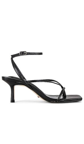 SANDALES AVI in . Size 6, 6.5, 7, 7.5, 8, 8.5, 9 - Tony Bianco - Modalova