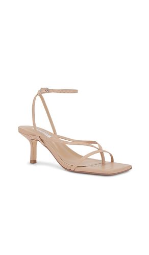 SANDALES AVI en . Taille 10. Also en 5.5, 6, 6.5, 8, 9 - Tony Bianco - Modalova