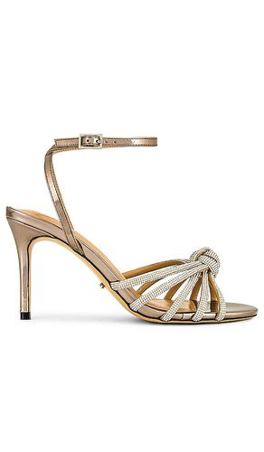 SANDALES HELENA in . Size 5.5, 6, 6.5, 7, 7.5, 8, 9, 9.5 - Tony Bianco - Modalova