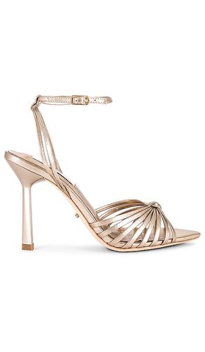 ESCARPINS MAXOS in . Size 10, 5.5, 6, 6.5, 7, 7.5, 8, 8.5, 9.5 - Tony Bianco - Modalova