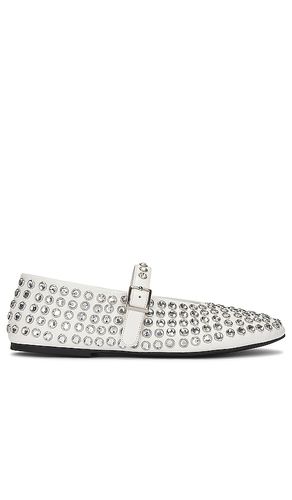 PLAT MIAMI in . Size 6, 7, 7.5, 8, 8.5, 9 - Tony Bianco - Modalova