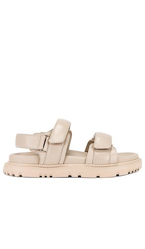 SANDALES FALCON in . Size 5 - Tony Bianco - Modalova