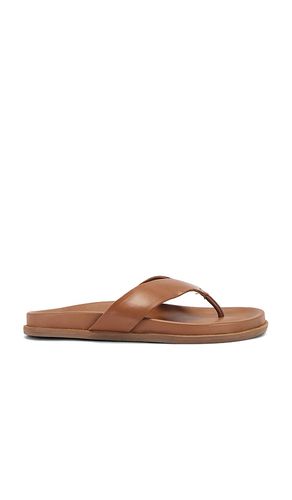 SANDALES LOOP in . Size 37, 38, 39, 40 - Tony Bianco - Modalova