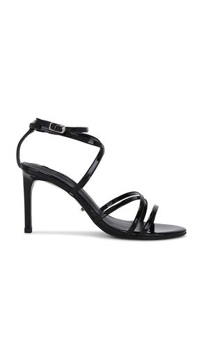 SANDALES MAJORCA in . Size 6, 8 - Tony Bianco - Modalova