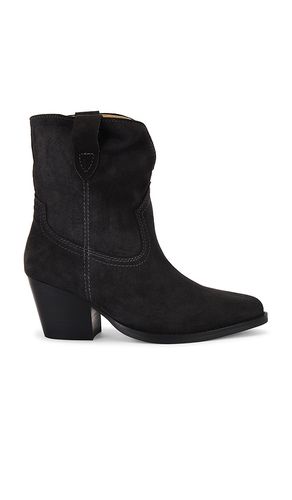 BOTTINES PSUEDO in . Size 6, 6.5, 7 - Tony Bianco - Modalova