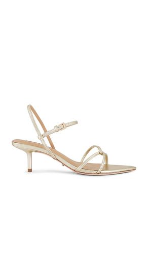 SANDALES FLORIDA en . Taille 5. Also en 5.5, 6, 6.5, 7, 7.5, 8 - Tony Bianco - Modalova