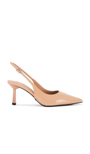 ESCARPIN BAZ in . Size 5.5, 6.5, 7.5, 8, 8.5 - Tony Bianco - Modalova