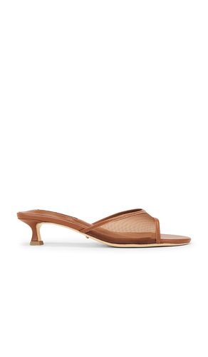 SANDALES PRU in . Size 7.5 - Tony Bianco - Modalova