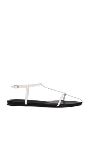 SANDALES NOHO in . Size 6, 6.5, 7, 7.5, 8, 8.5, 9 - Tony Bianco - Modalova