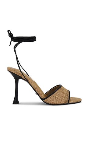 ESCARPINS LAMAR en . Taille 10. Also en 5.5, 6, 7.5, 8, 8.5, 9, 9.5 - Tony Bianco - Modalova