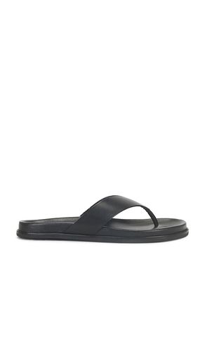 SANDALES LOOP en . Taille 36. Also en 41 - Tony Bianco - Modalova