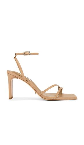 SANDALES CORSO in . Size 7.5 - Tony Bianco - Modalova