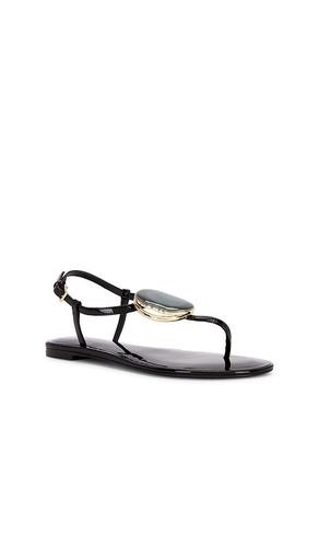 SANDALES PATOS THONG en . Taille 10. Also en 6, 6.5, 7, 7.5, 8, 8.5, 9, 9.5 - Tory Burch - Modalova
