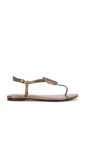 SANDALES PATOS THONG en . Taille 6. Also en 7, 7.5, 8, 8.5, 9.5 - Tory Burch - Modalova