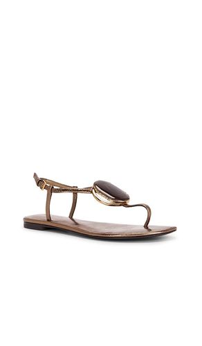SANDALES PATOS THONG en . Taille 6. Also en 7, 7.5, 8, 8.5, 9.5 - Tory Burch - Modalova