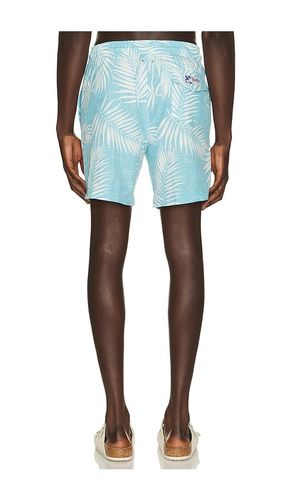 Sano 6.5 Swim Short en . Taille L. Also en M, S - Trunks Surf & Swim Co. - Modalova