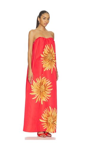 ROBE VERONA MAXI en . Taille XS. Also en S, L - The Wolf Gang - Modalova
