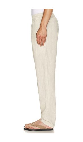 PANTALON en . Taille S. Also en M, XXL/2X - True Tribe - Modalova