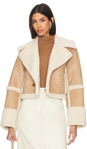 BLOUSON CINDI en . Taille L. Also en M - Tularosa - Modalova