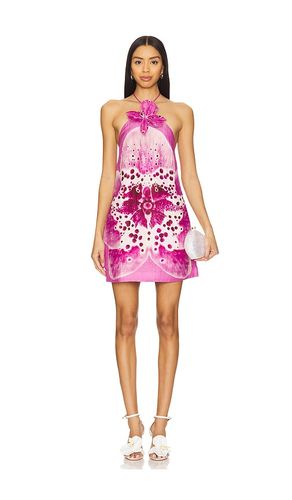 ROBE COURTE EVERLEE ORCHID PRINT en . Taille 10. Also en 2, 6, 8 - AMUR - Modalova