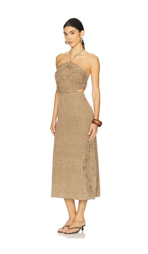 ROBE MIDI EN MAILLE CLARA in . Size M, S, XS - AMUR - Modalova