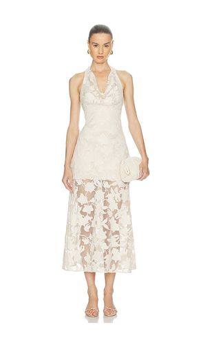 ROBE CALYPSO en . Taille 0. Also en 2, 4, 6, 8 - AMUR - Modalova