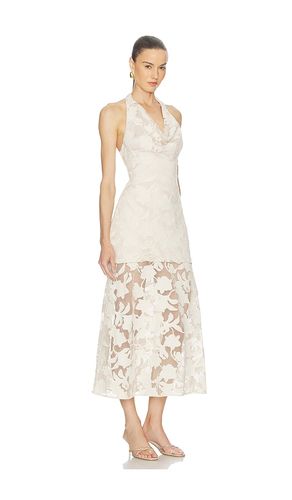 ROBE CALYPSO en . Taille 0. Also en 6 - AMUR - Modalova