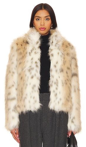 BLOUSON WILD DREAM en . Taille XS. Also en S, L, XL - Unreal Fur - Modalova