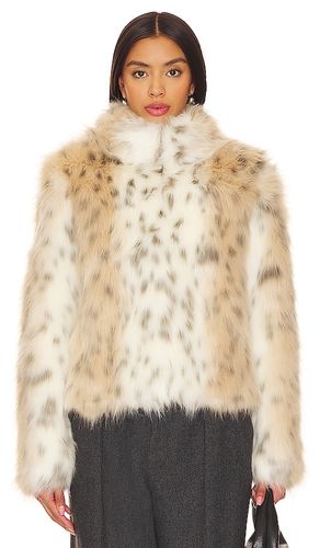 BLOUSON WILD DREAM en . Taille XS. Also en S, L, XL - Unreal Fur - Modalova