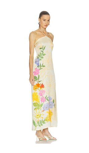 ROBE DRESS en . Taille M. Also en S, XS - Verandah - Modalova
