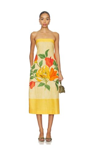 ROBE DRESS en . Taille M. Also en S, XL, XS - Verandah - Modalova