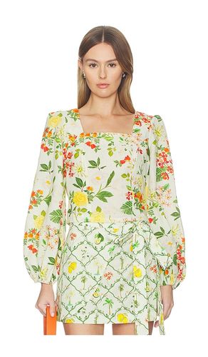 Square Neck Crop Blouse en ,. Taille L. Also en S, XL, XS - Verandah - Modalova