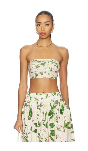 Bandeau en . Taille S. Also en XS, M, L, XL - Verandah - Modalova