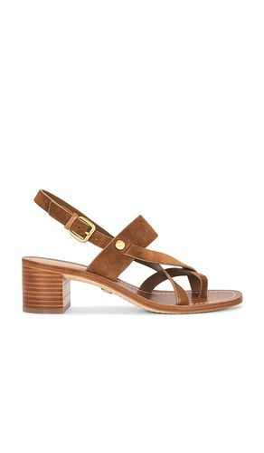 Elodie Heel in . Size 6, 6.5, 7, 7.5, 8, 8.5, 9 - Veronica Beard - Modalova